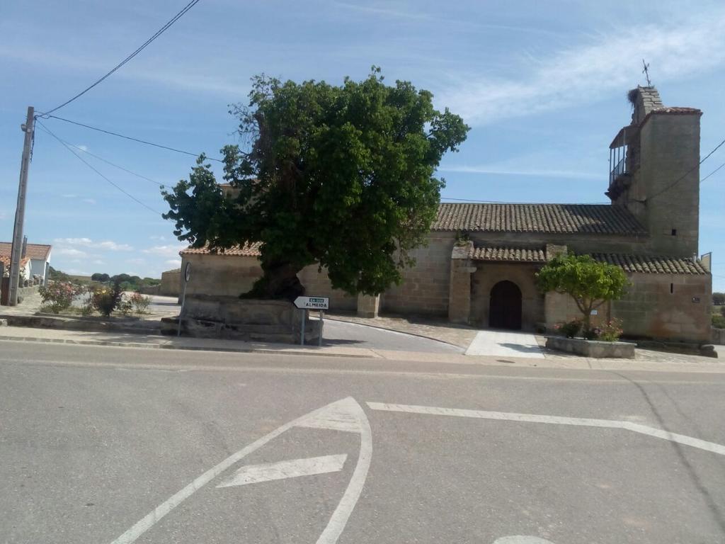 Pension El Abuelo Carbellino Exteriér fotografie