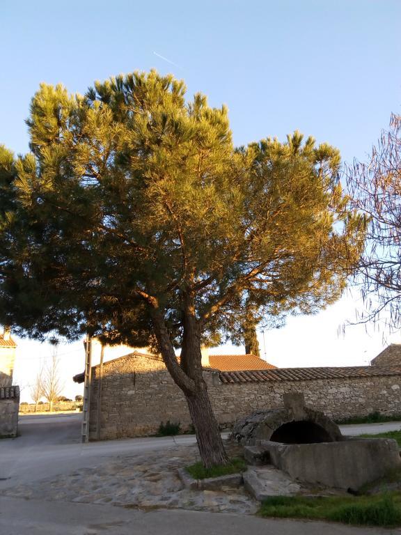 Pension El Abuelo Carbellino Exteriér fotografie